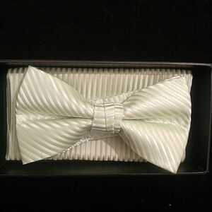 MEN'S LARR BRIO BOW TIE AND HANKY SET